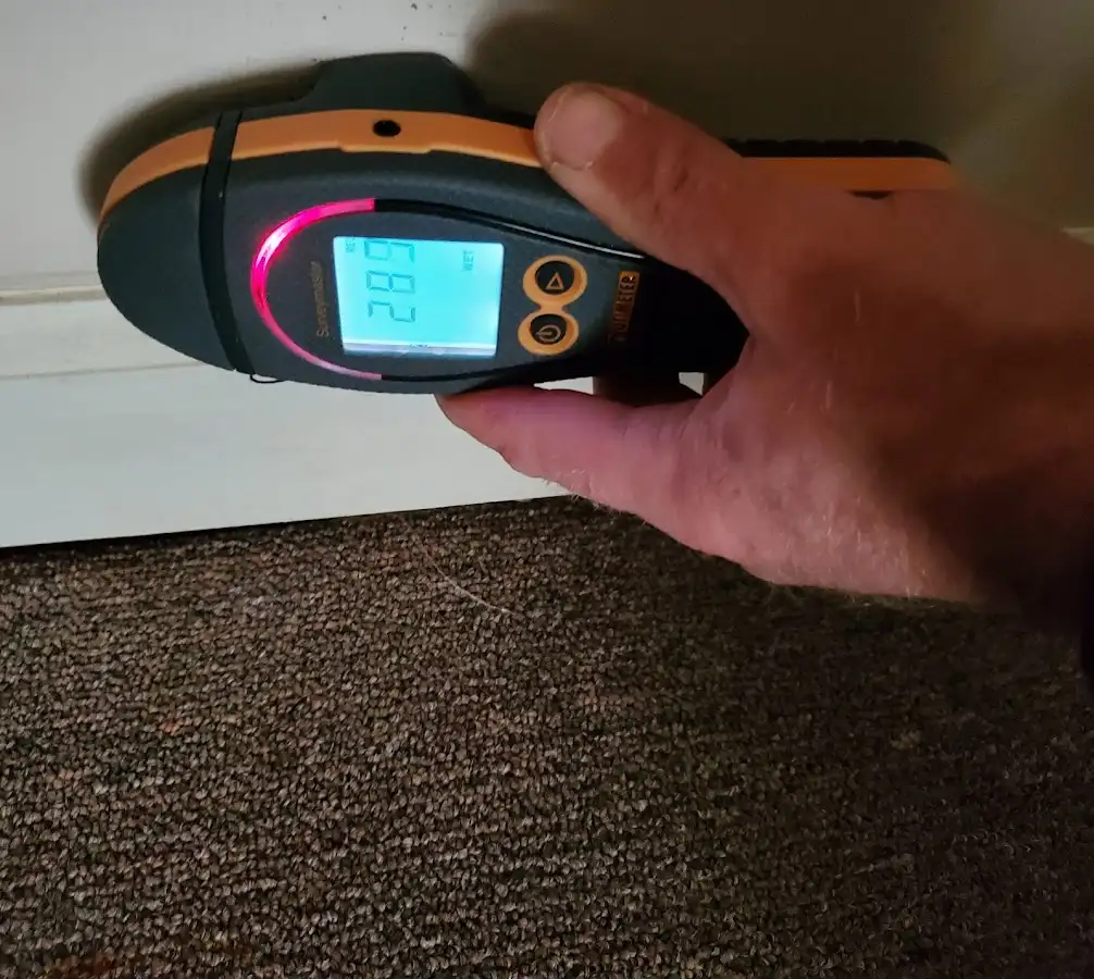 Moisture detection at baseboard during Mold Inspection & Testing in Crestview